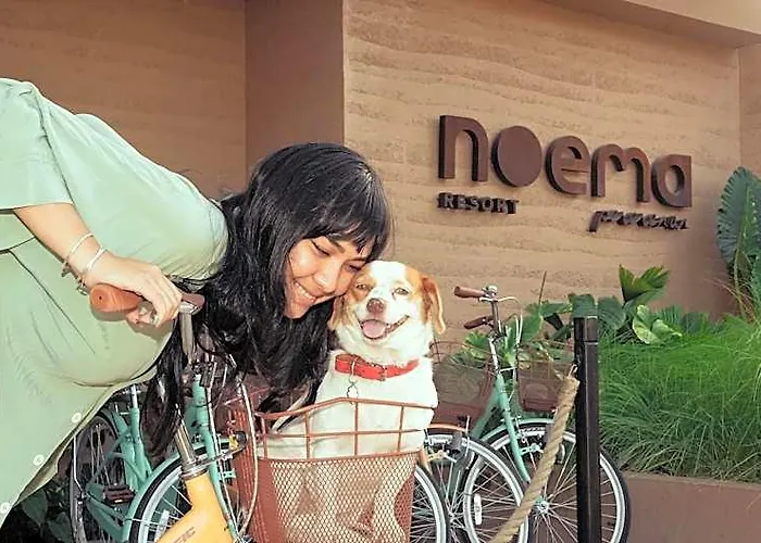 Noema Pererenan 4*